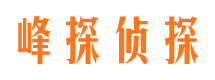 射洪市私家侦探